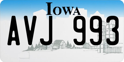 IA license plate AVJ993