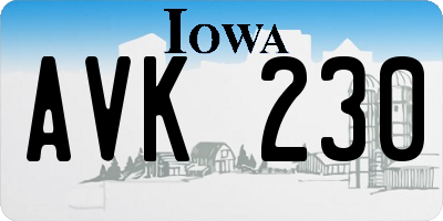 IA license plate AVK230