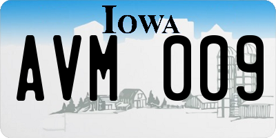 IA license plate AVM009