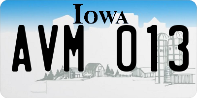 IA license plate AVM013