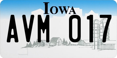IA license plate AVM017