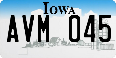 IA license plate AVM045