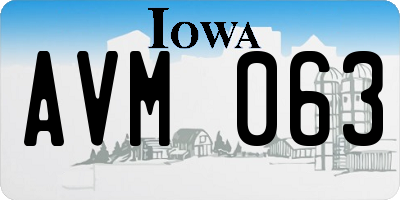 IA license plate AVM063