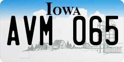 IA license plate AVM065