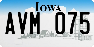 IA license plate AVM075