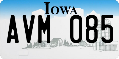 IA license plate AVM085