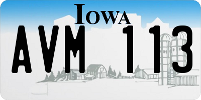 IA license plate AVM113