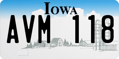 IA license plate AVM118