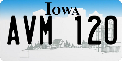 IA license plate AVM120
