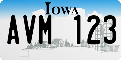 IA license plate AVM123