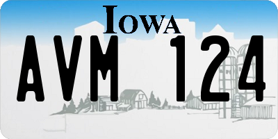 IA license plate AVM124