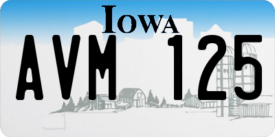 IA license plate AVM125