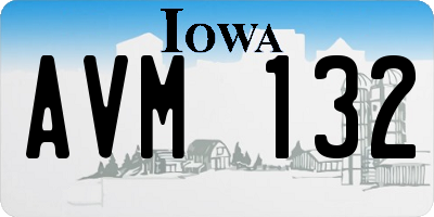 IA license plate AVM132