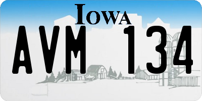 IA license plate AVM134