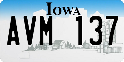 IA license plate AVM137