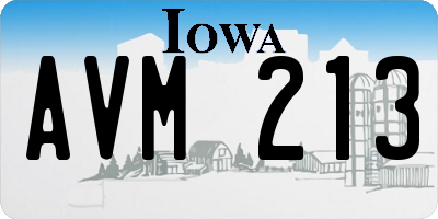 IA license plate AVM213