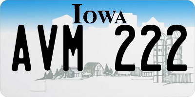 IA license plate AVM222