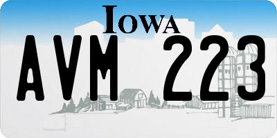IA license plate AVM223
