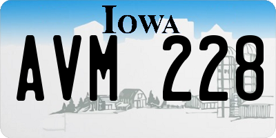 IA license plate AVM228