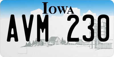 IA license plate AVM230