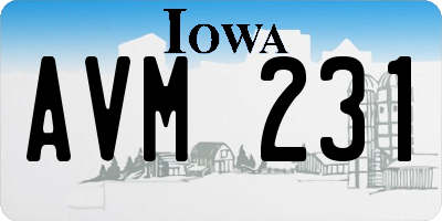 IA license plate AVM231