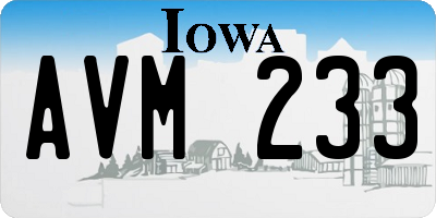 IA license plate AVM233