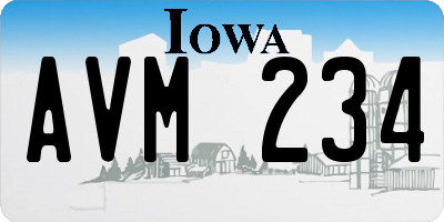 IA license plate AVM234