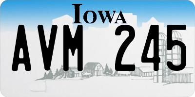 IA license plate AVM245
