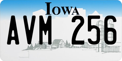 IA license plate AVM256