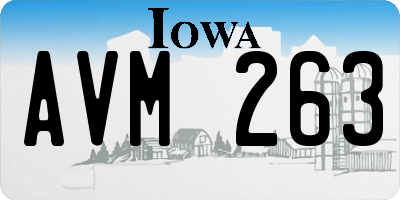 IA license plate AVM263