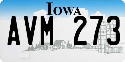 IA license plate AVM273