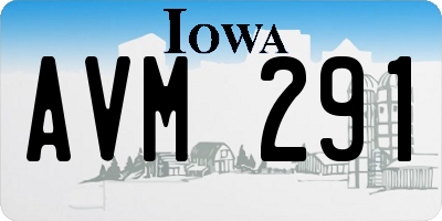IA license plate AVM291