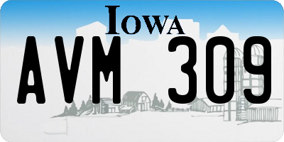 IA license plate AVM309