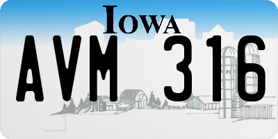 IA license plate AVM316