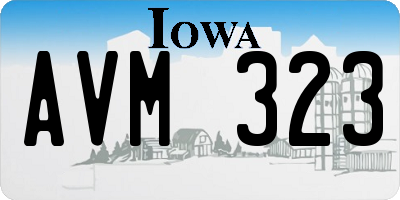 IA license plate AVM323