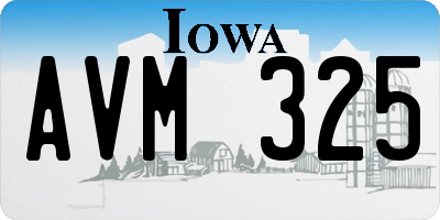 IA license plate AVM325