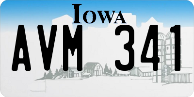 IA license plate AVM341