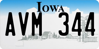 IA license plate AVM344