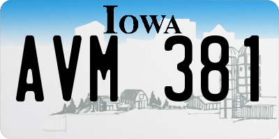 IA license plate AVM381