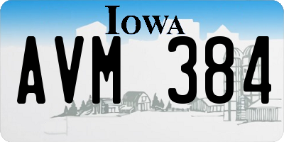 IA license plate AVM384