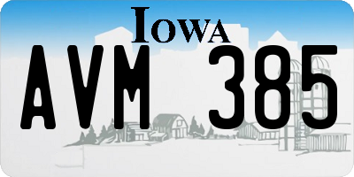 IA license plate AVM385