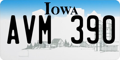 IA license plate AVM390