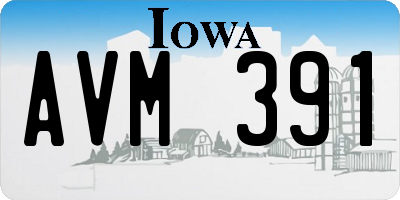 IA license plate AVM391
