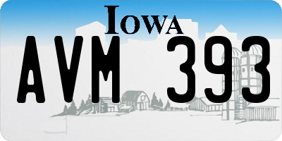 IA license plate AVM393