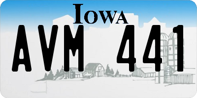 IA license plate AVM441