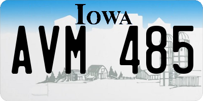 IA license plate AVM485