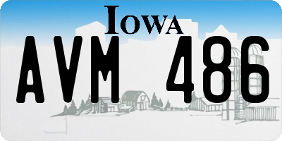 IA license plate AVM486