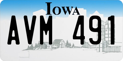 IA license plate AVM491