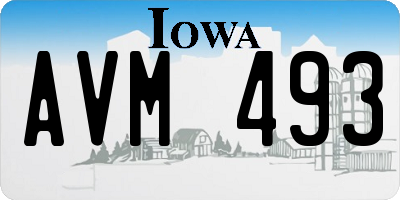 IA license plate AVM493