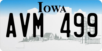 IA license plate AVM499